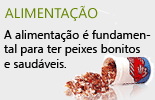 Alimentos