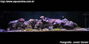 Reef de 660 litros de Junior Gorski
