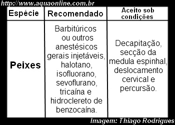 Tabela com termos aceitáveis de eutanásia em peixes ornamentais.