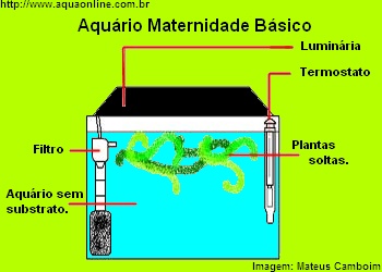 Áquario maternidade básico 