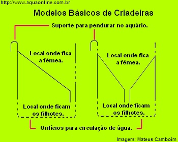 Modelos básicos de criadeiras