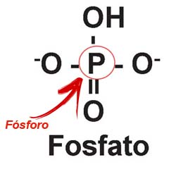 Molécula de fosfato com destaque para o fósforo (P).