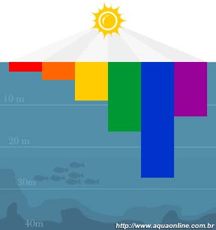 Penetração da luz do Sol na água