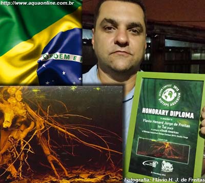 Flávio Freitas com o certificado de primeiro colocado